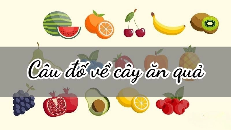 Câu đố về cây ăn quả rèn luyện trí thông minh