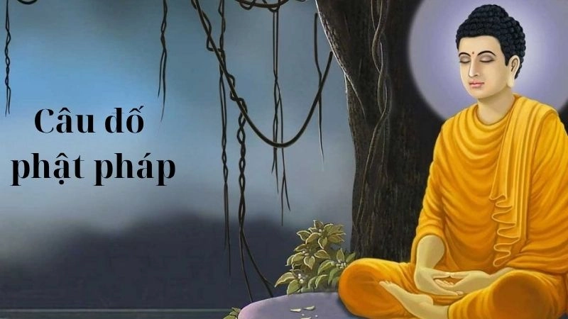 Câu đố Phật pháp giúp khai mở trí tuệ sâu xa
