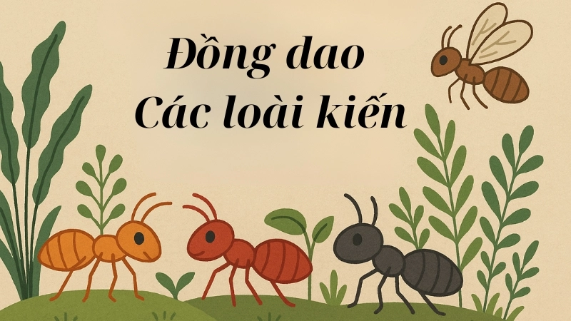 Nội dung bài đồng dao Các loài kiến