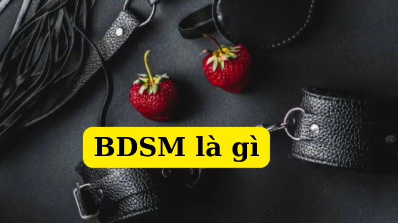 Giải nghĩa khái niệm BDSM một cách dễ hiểu