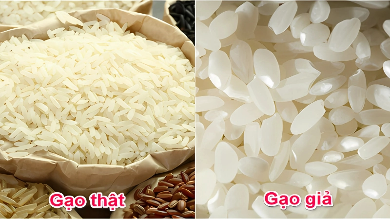 Cách thử gạo tại nhà – Nhận biết gạo giả không cần thiết bị