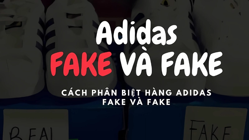 Kiểm tra hộp và tem giúp phân biệt giày Adidas thật