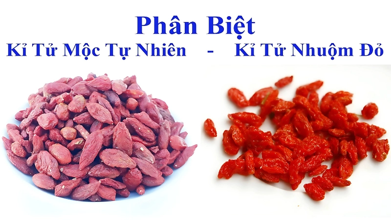 Giới thiệu tổng quan về kỷ tử