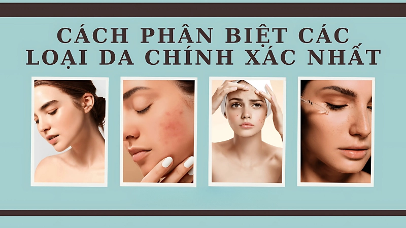 Cách phân biệt các loại da mặt phổ biến hiện nay