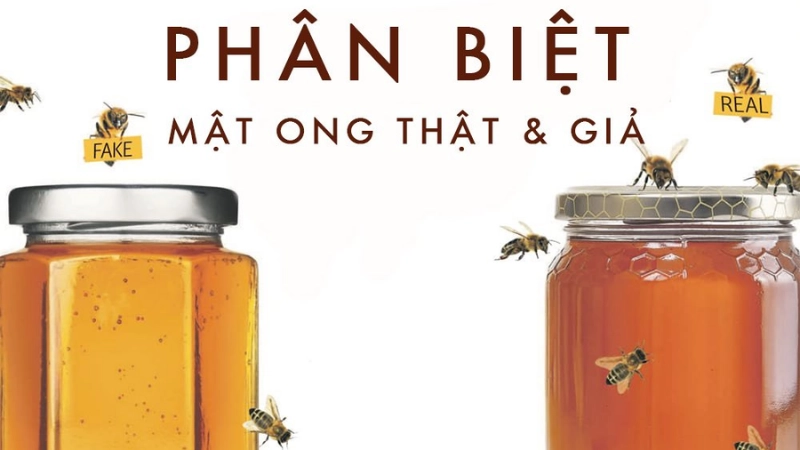 Dấu hiệu nhận biết mật ong thật và giả qua cảm quan
