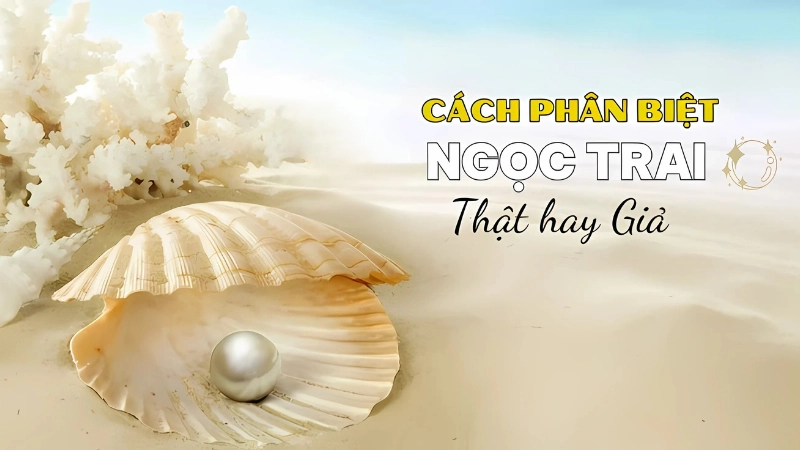 Quan sát màu sắc, bề mặt và hình dáng viên ngọc