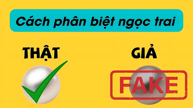 Thử nghiệm thực tế tại nhà