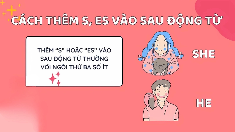 Cách phân biệt s và es trong danh từ số nhiều