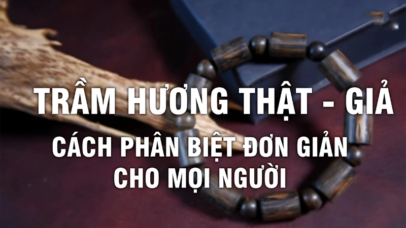 Các loại trầm hương phổ biến và cách nhận biết sơ bộ