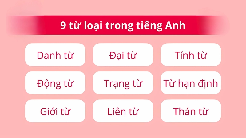 Giới thiệu tổng quan về các loại từ trong tiếng Anh