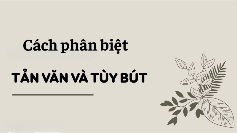 Tìm hiểu khái niệm tùy bút và tản văn là gì?