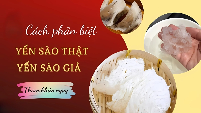 Nhận biết tổ yến thật và giả qua hình dáng, màu sắc và kết cấu