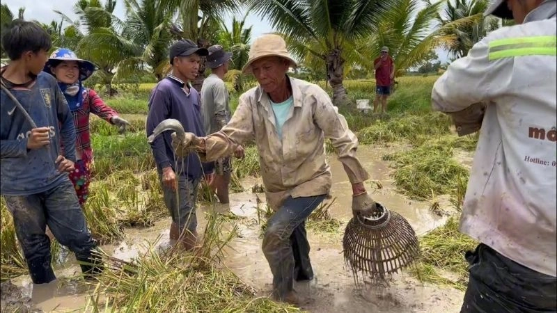 Những câu đố dân gian hại não đòi hỏi trí sáng tạo