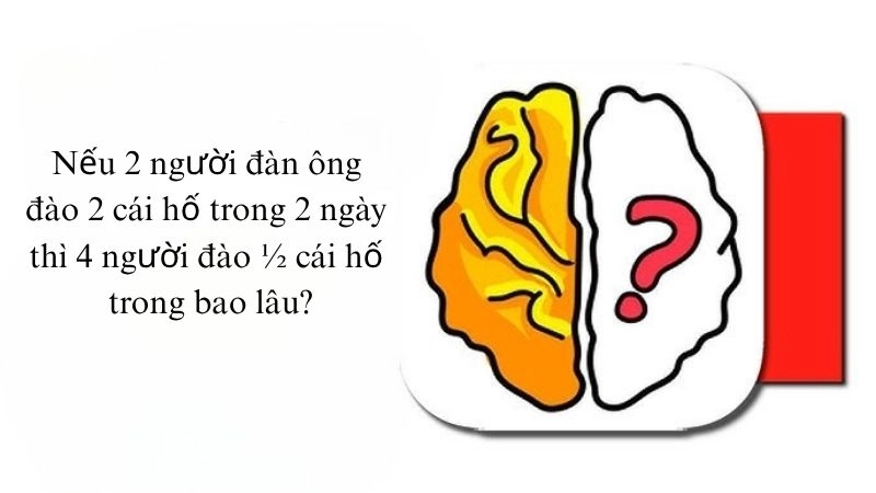 Những câu đố tư duy logic nâng cao khả năng phân tích