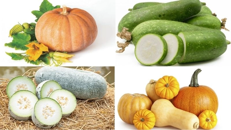 Câu đố về quả bí dân gian vui nhộn dễ nhớ