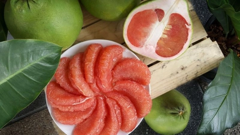 Câu đố về quả bưởi tròn trịa ngọt thơm