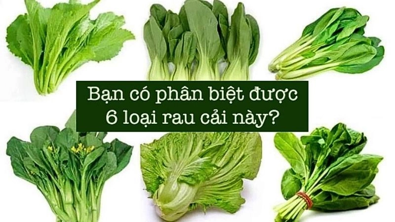 Câu đố về rau cải rèn luyện trí nhớ nhanh