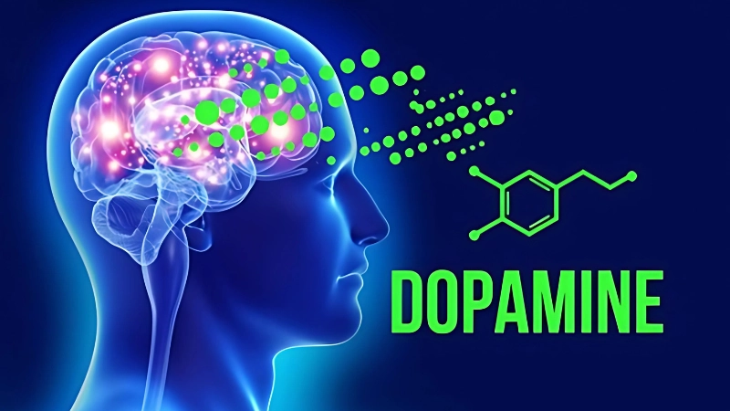 Dopamine là gì? Dopamine nghĩa là gì?