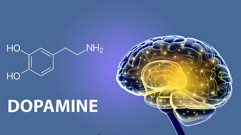 Nghiện dopamine là gì? Khi “hạnh phúc” trở thành vòng luẩn quẩn