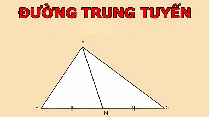 Tính chất nổi bật của đường trung tuyến trong tam giác