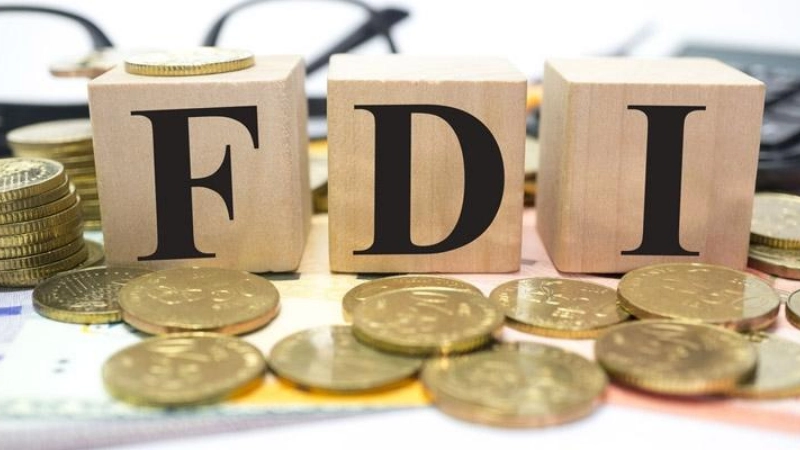 Doanh nghiệp FDI là gì? Đặc điểm và phân loại doanh nghiệp vốn FDI