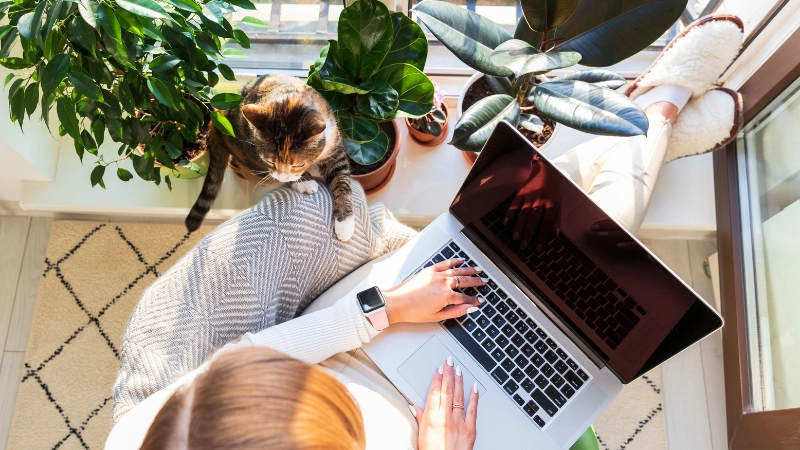 Freelance job là gì? Cách tìm việc freelancer hiệu quả
