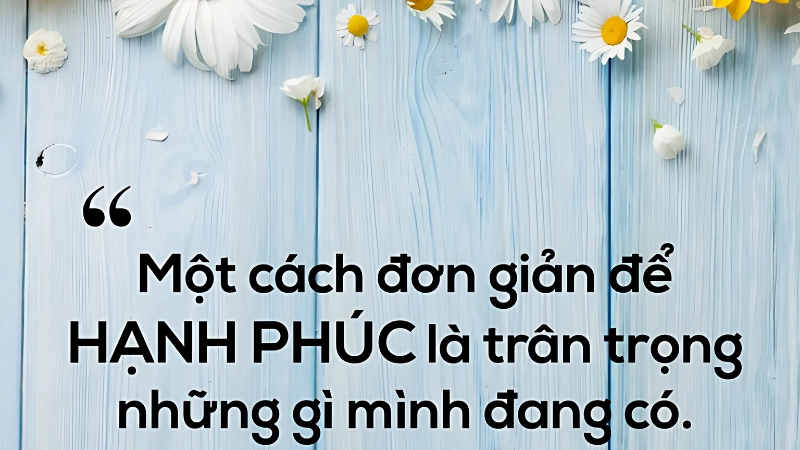 Làm thế nào để nuôi dưỡng hạnh phúc mỗi ngày?