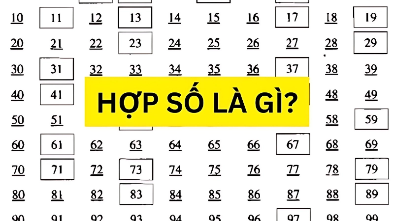 Hợp số là gì? Khái niệm cơ bản cần biết