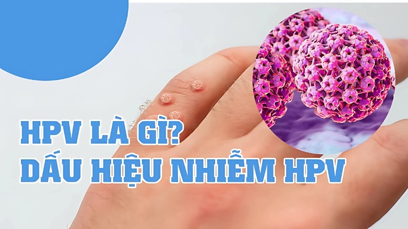 Virus HPV là gì và lây truyền như thế nào?