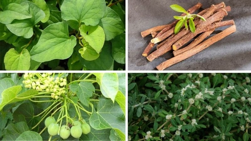 Mẹo dân gian chữa an toàn từ thiên nhiên