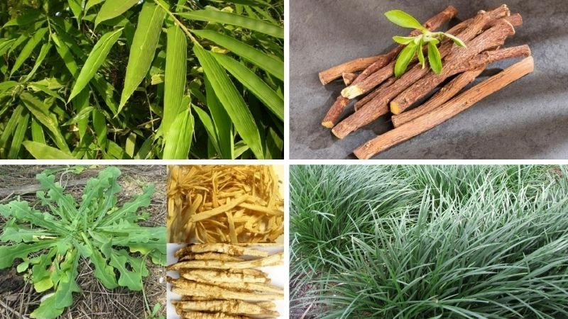 Mẹo dân gian chữa hiệu quả từ ông cha ta