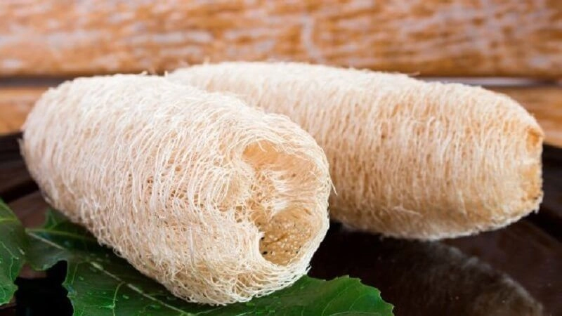 Mẹo dân gian trị sa tử cung hiệu quả đơn giản tại nhà