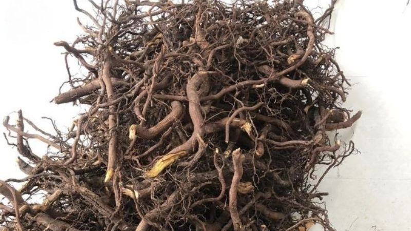 Mẹo dân gian trị phong thấp hiệu quả từ thảo mộc thiên nhiên