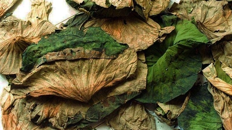 Mẹo dân gian giảm mỡ bụng từ nguyên liệu tự nhiên