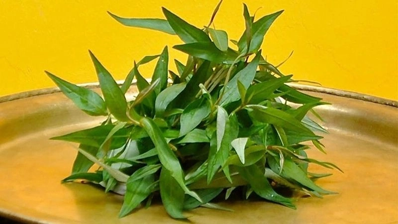 Mẹo chữa hắc lào dân gian được nhiều người tin dùng