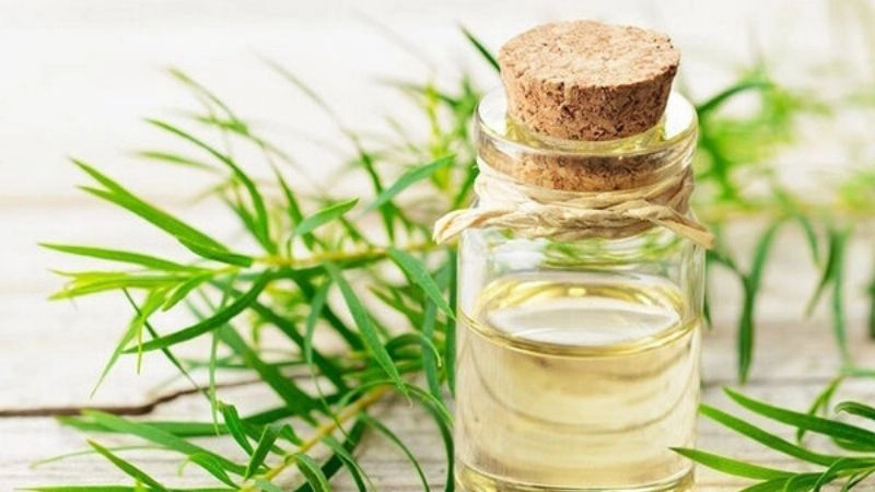 Mẹo chữa sâu răng dân gian đơn giản dễ áp dụng tại nhà
