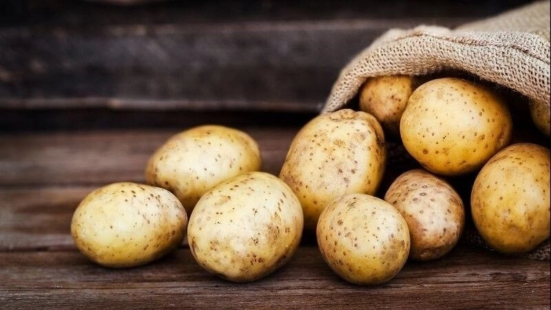 Mẹo chữa hôi nách dân gian an toàn