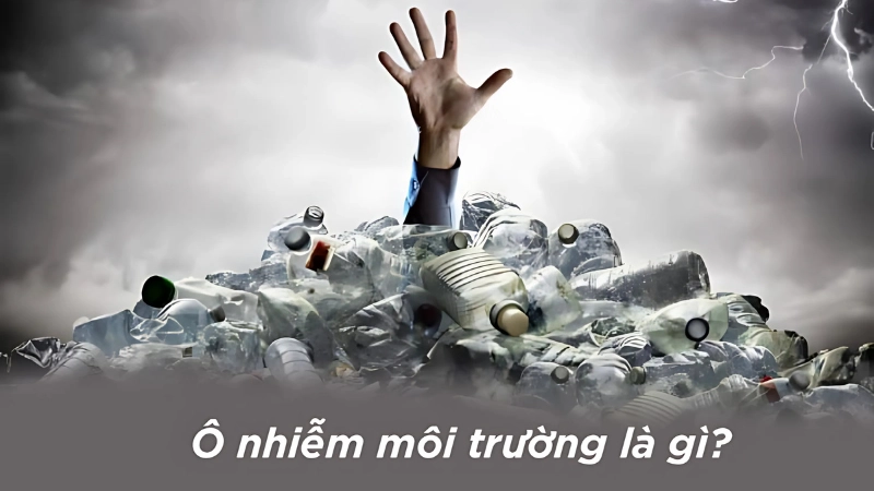 Ô nhiễm môi trường là gì? Có những loại ô nhiễm nào?