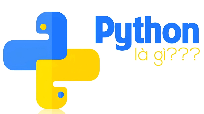 Python là gì? Sự khác biệt giữa “con trăn” và “ngôn ngữ lập trình”