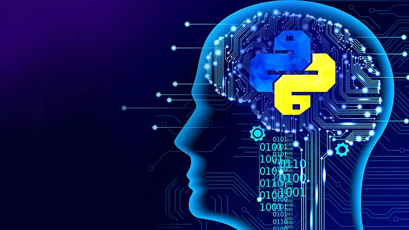 Phần mềm Python là gì? Những công cụ hỗ trợ lập trình Python