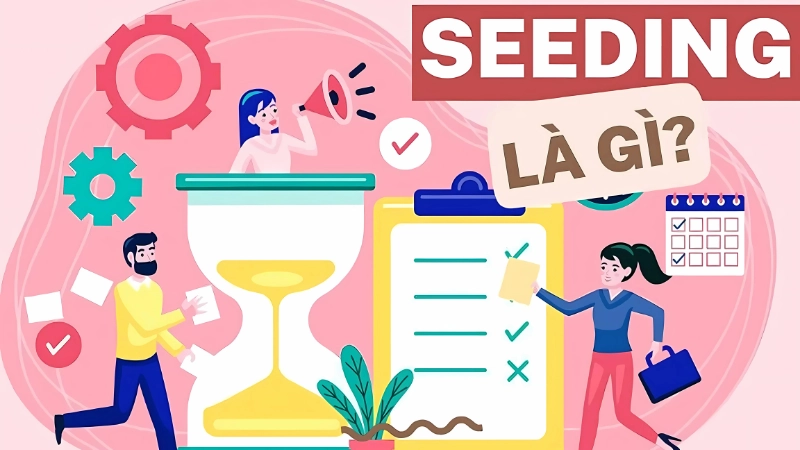 Seeding là gì? Hiểu đúng về khái niệm