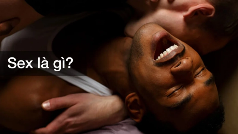 Sex là gì? Những khái niệm cơ bản cần biết