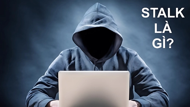 Stalk là gì? Nguồn gốc và các nghĩa phổ biến