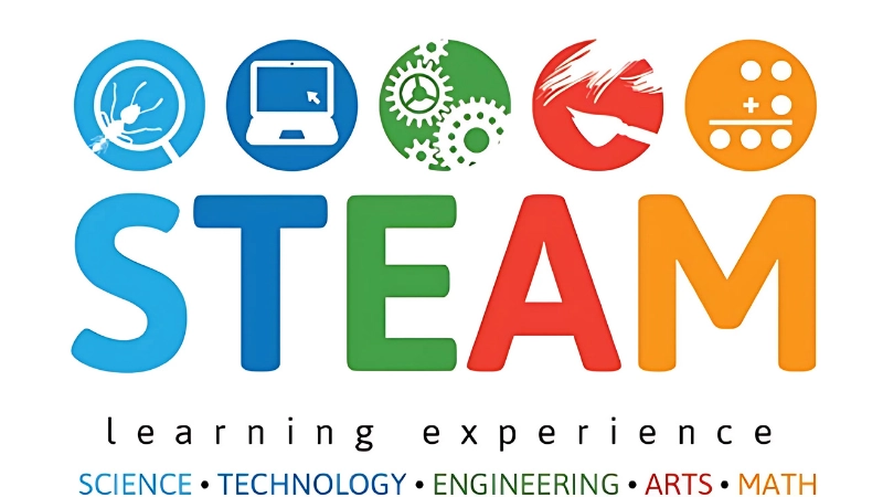 STEAM là gì? Nguồn gốc và cấu trúc phương pháp học