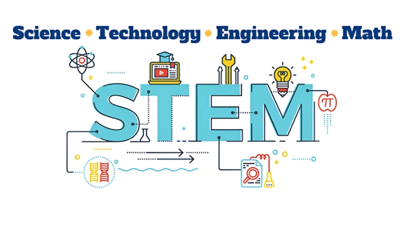 STEM là gì? Nguồn gốc và ý nghĩa