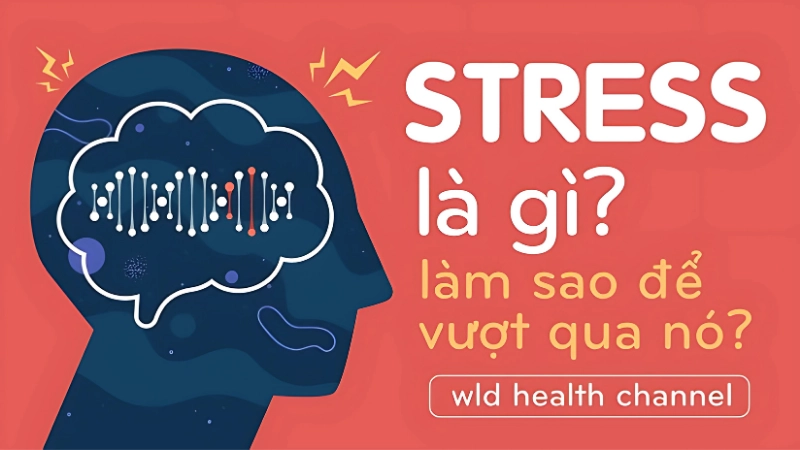 Stress là gì? Căng thẳng tâm lý là gì?