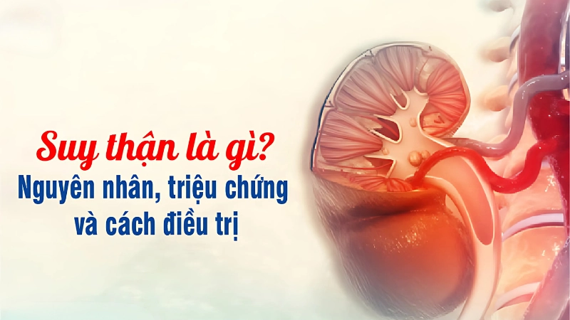 Suy thận là gì? Phân biệt suy thận cấp và mạn tính