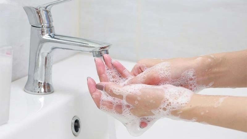 Sơ cứu khi bị chó cào nhanh chóng và đúng cách
