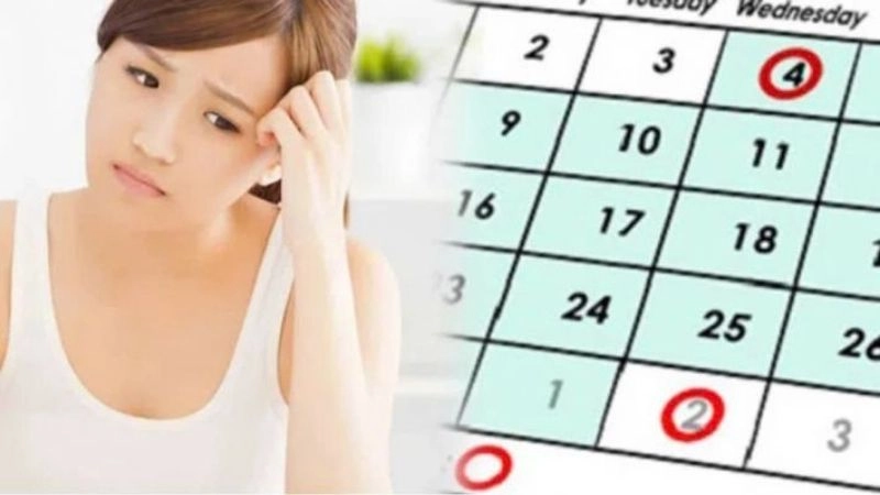 Chu kỳ kinh nguyệt ở nữ giới do hormon sinh dục nữ điều khiển