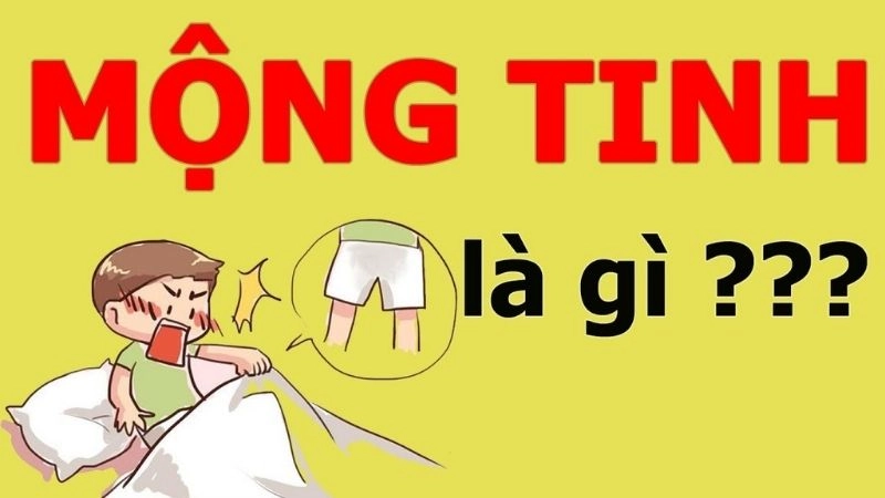Mộng tinh là tình trạng tinh dịch xuất ra khi bạn đang ngủ mà không có kích thích